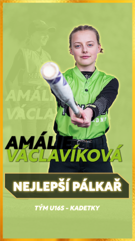 pálkař